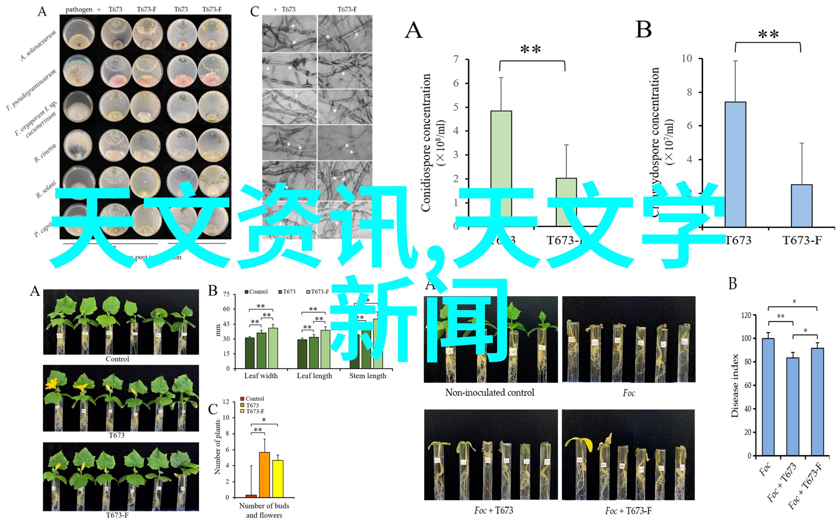 在设计不锈钢管退火炉时需要考虑哪些安全因素