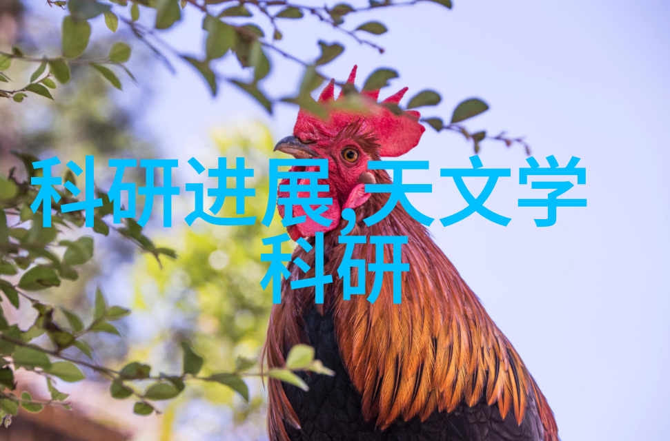 化工过滤设备中的关键技术是什么
