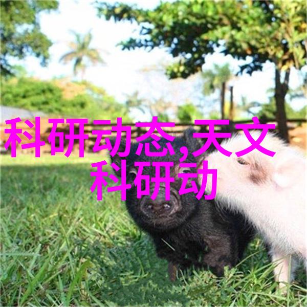 散装填料种类大全探索材料世界的丰富多样性