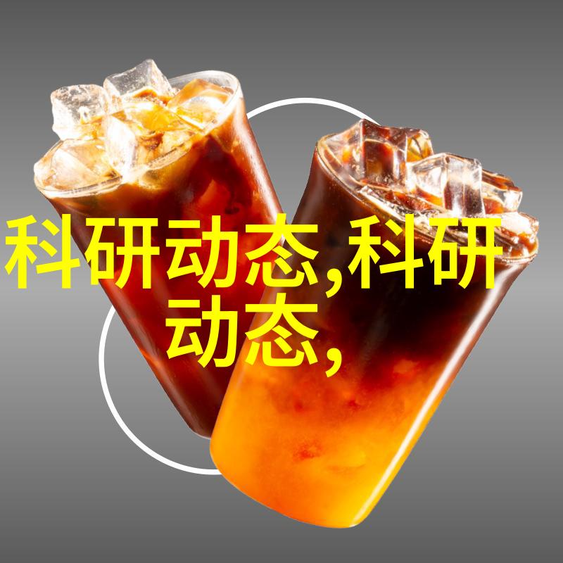 家有丽维心无忧丽维家的安防系统解析