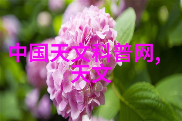 蒸发之舞化工浓缩设备抽象之旅