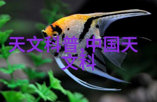 野间杏奈摄影师的眼镜