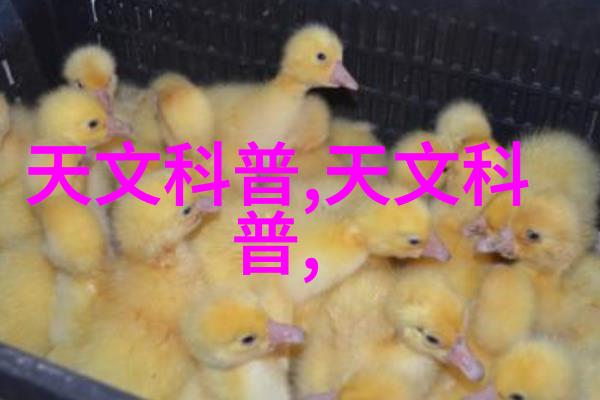 数字相机的魅力探索高清摄影与智能捕捉技术