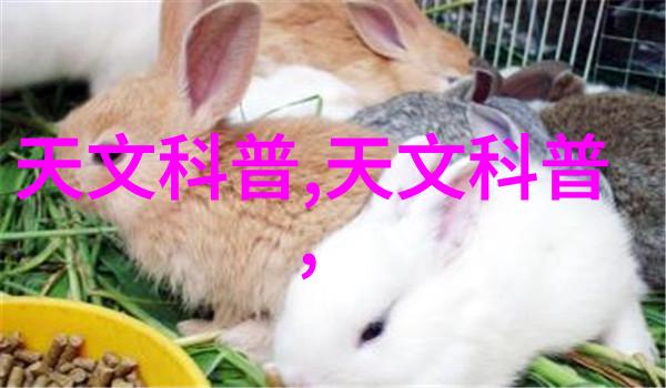 精致小书房装修效果图创意空间阅读乐趣