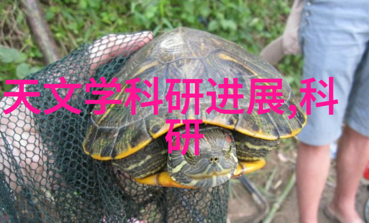 专利转让价格一览表揭秘技术创新成本