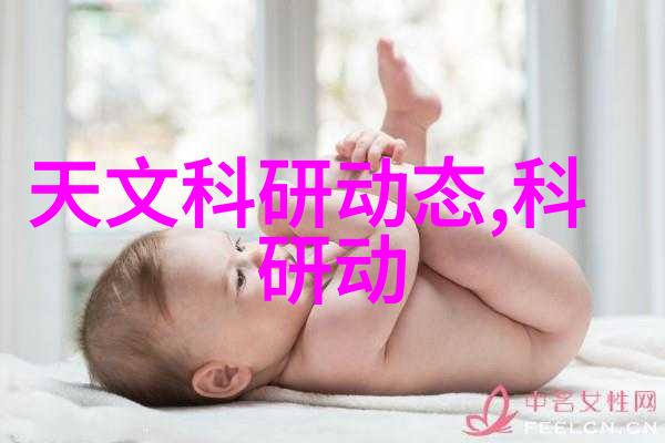 干燥设备网解锁高效物料处理的关键技术