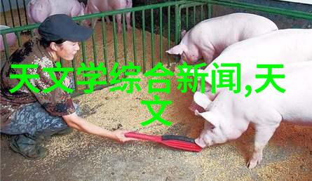 热能传递-套管式换热器的设计原理与应用