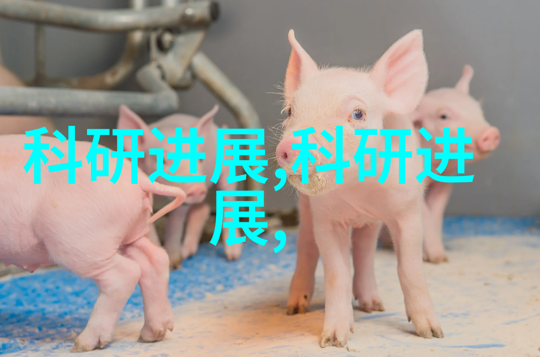 化工净制过程中如何实现高效且环保的污染物去除