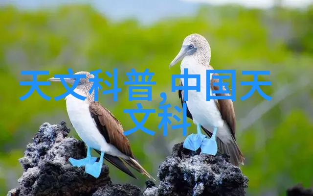 主题我是如何用电蒸汽发生器让蒸箱里的食物变得软绵绵的