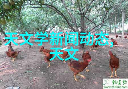 二手制冷设备节能环保的绿色选择