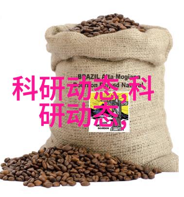 性价比手机排行榜2022前十名选购指南与推荐