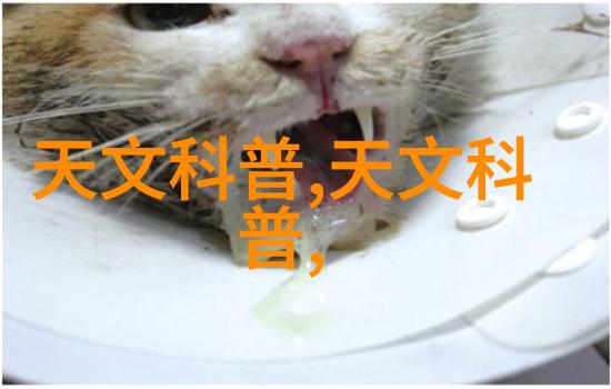 房屋装修工序详解家居美化的完整步骤