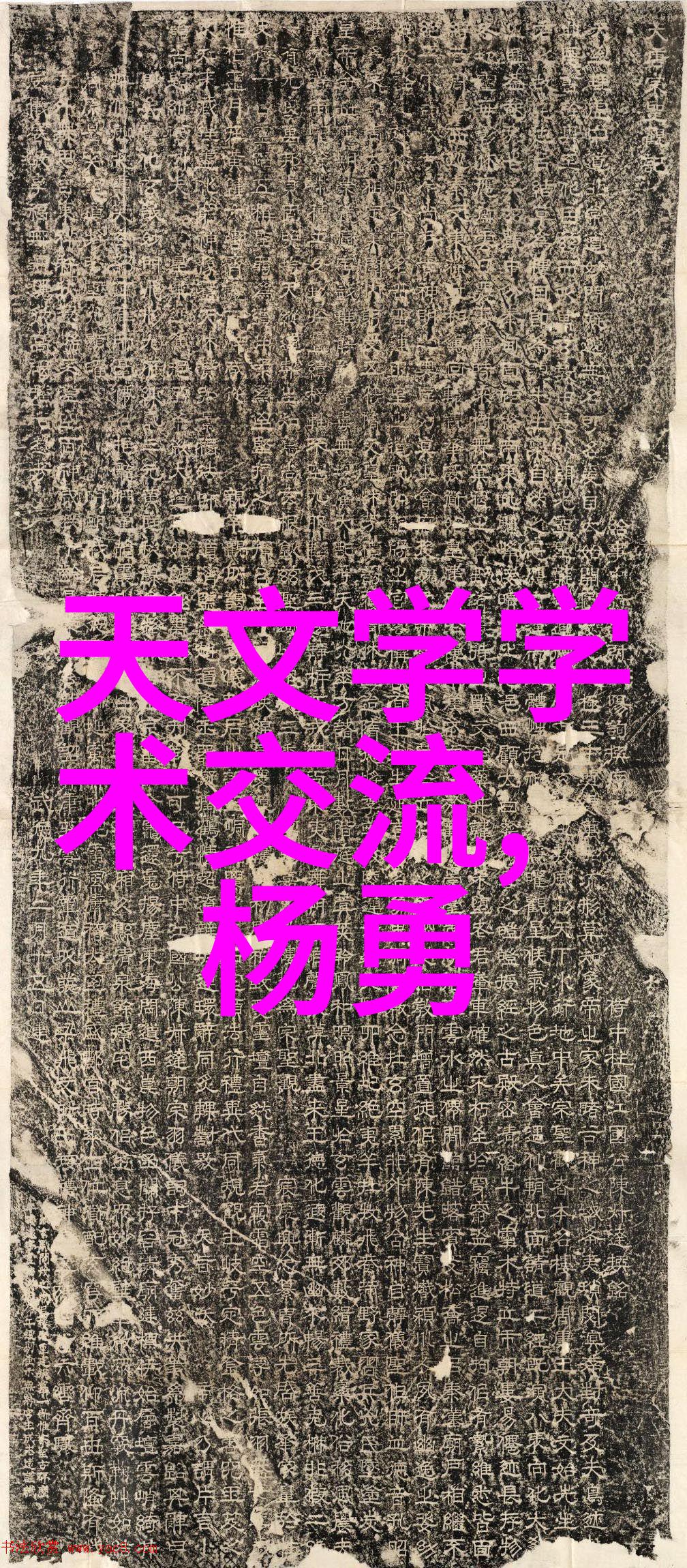 家用不锈钢货架俺的家庭物品整理神器