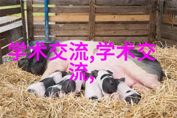 如何通过表情和姿态展现日式纯粹感