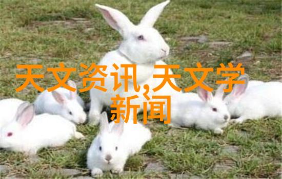 疼痛的甜蜜女生越说疼男生越往里动漫全解析