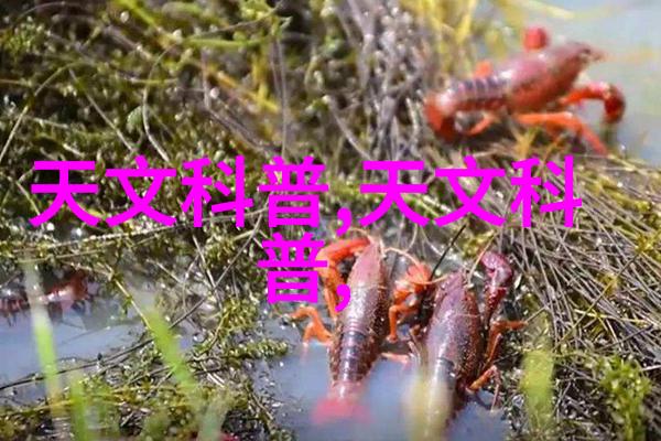 Android应用官方下载平台安全稳定丰富选择