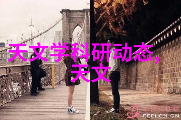 机械设备中的关键组件传动带的作用与选择