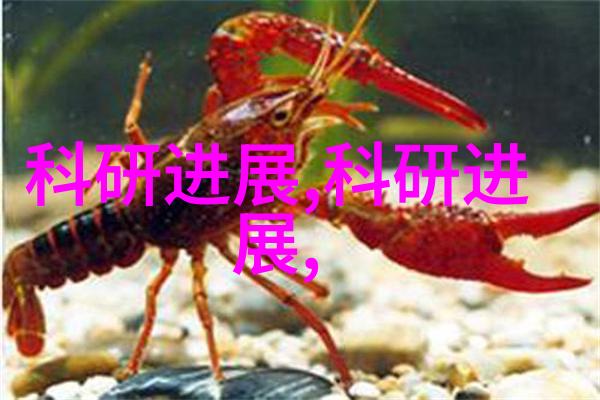 无人机应用技术专业-翱翔未来探索智能飞行器在农业建筑和环境监测领域的革命性应用