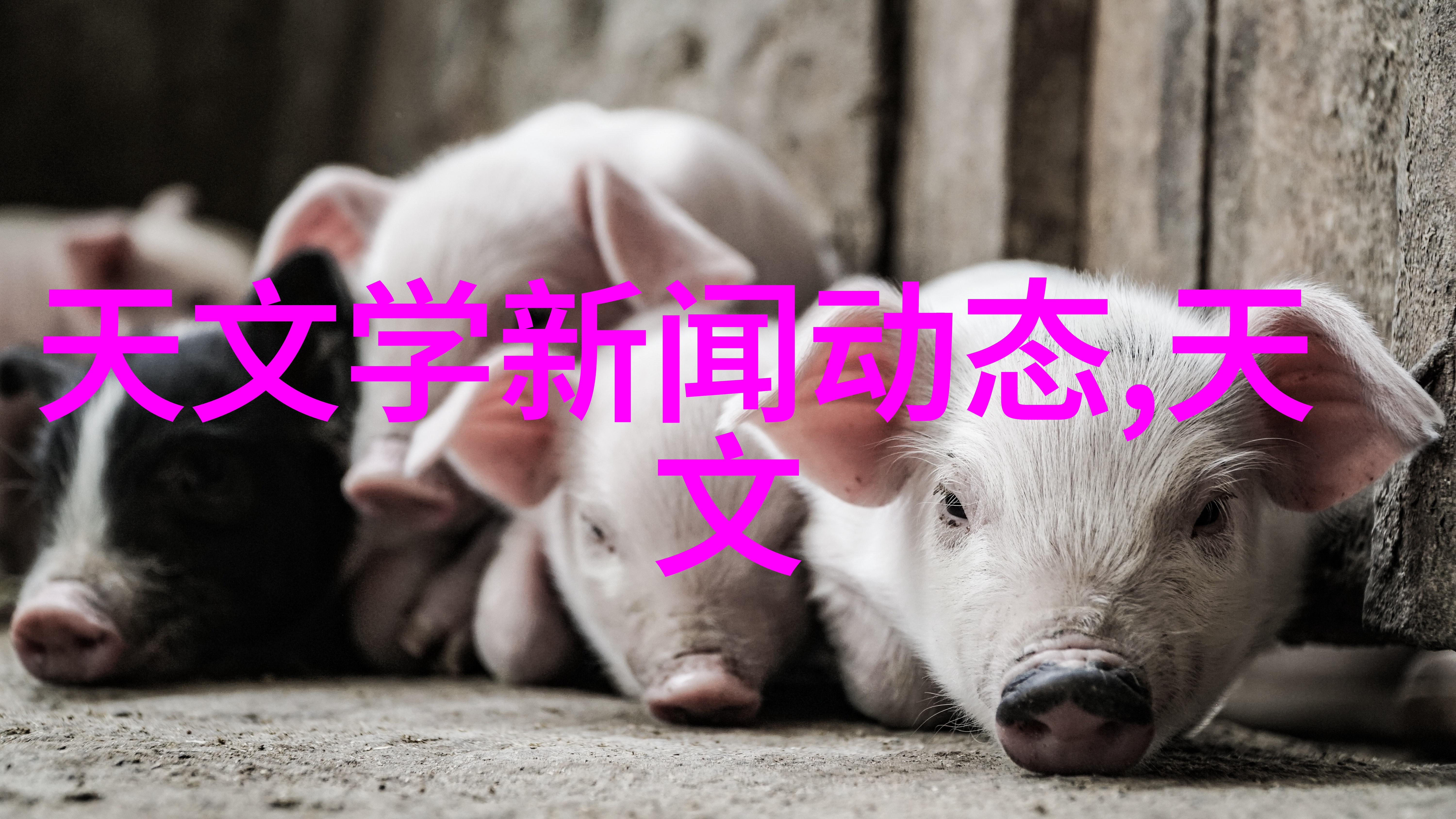 专业医疗器械我用过的那些让人惊叹的设备