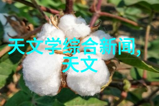 中电信息科学研究院我在这里的秘密揭开数据帝国的神秘面纱