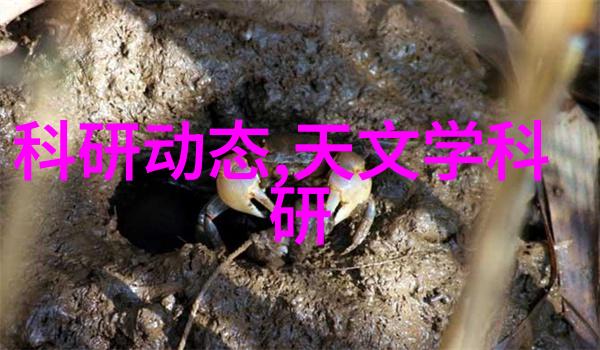 梦回宝玉戏透红楼
