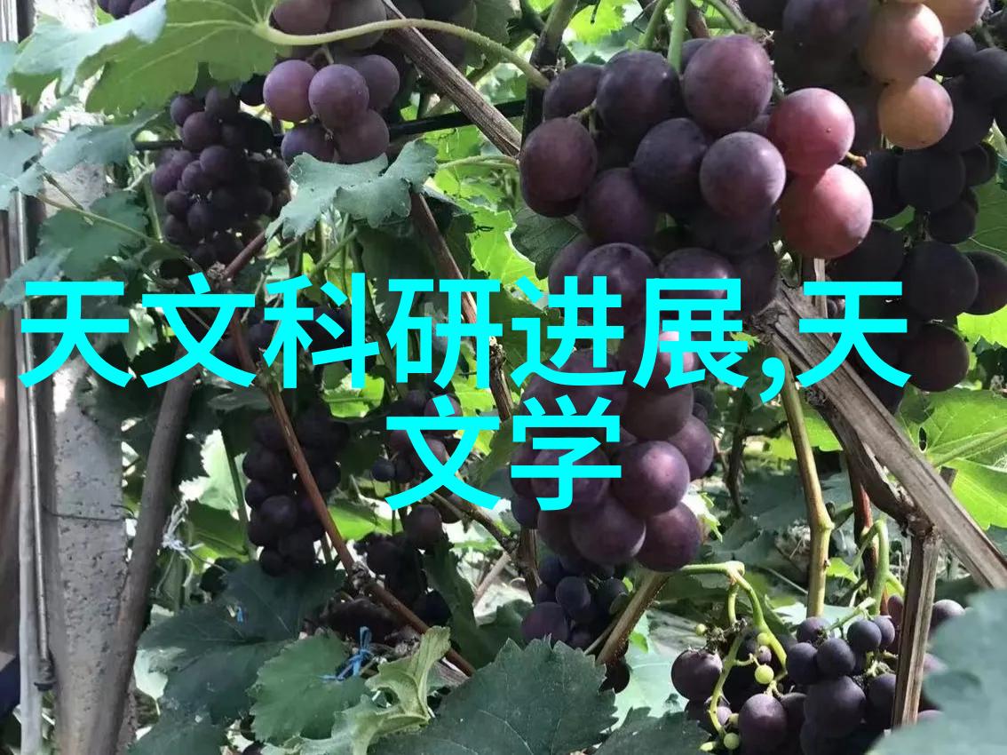 床型革新多功能流化床的技术与应用