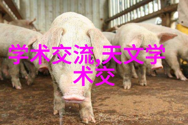 一顺一丁丝绸之路上的秘密交易