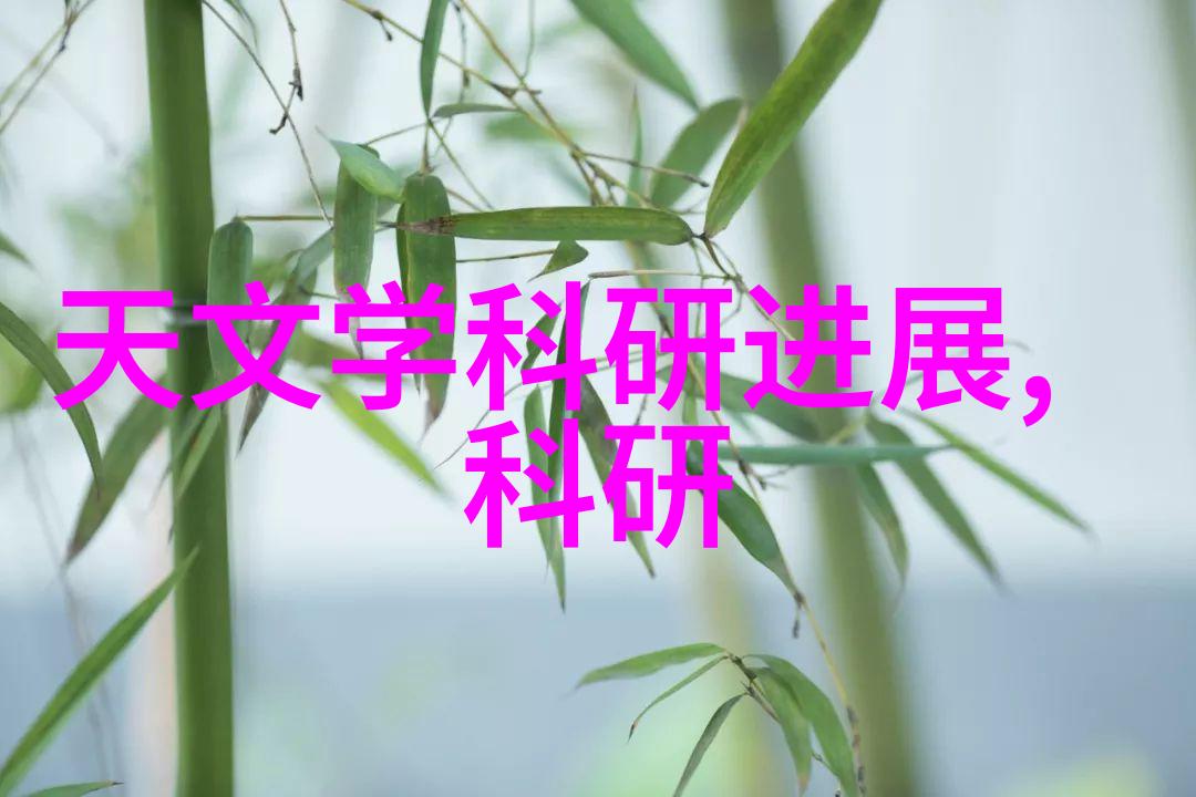 高清卡片分享探索麻豆无卡网站的魅力