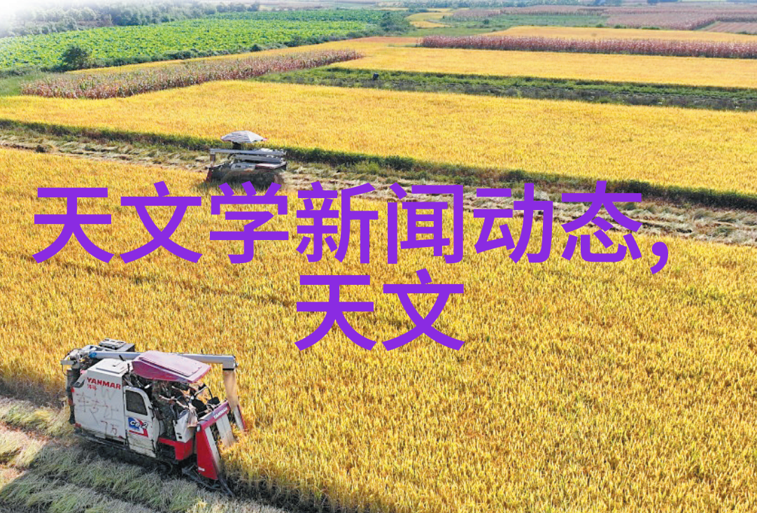 主题我终于可以开车了