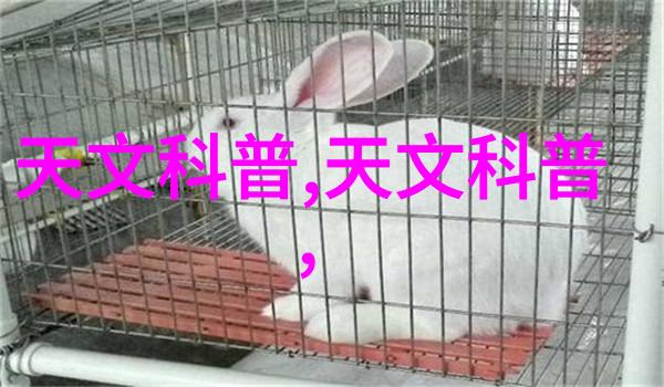 主题我的梦幻横向客厅装修效果图从乱象到和谐的转变