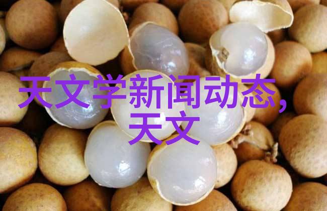 专利之旅创新者在哪里寻找梦想的栖息地