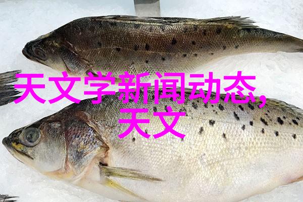 碎土归于本位移动泥石分离机的奇迹