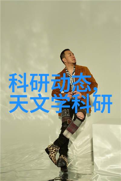 智能化升级最新一代移动式泥石分离机技术解析