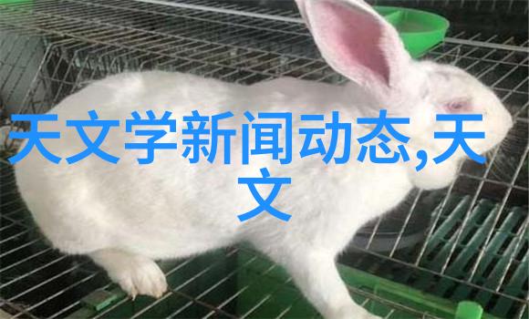 研究生院支持国际化教育发展有什么具体措施吗