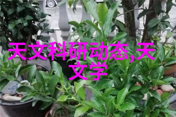 金龙鱼技术分析图表揭示未来走向