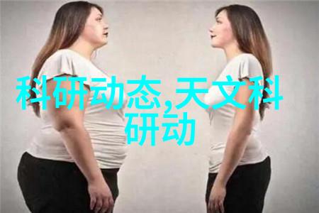 砖的诗篇墙垣中的故事与变迁