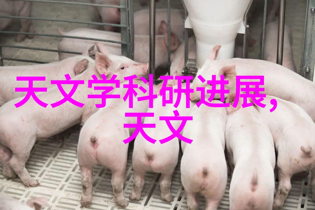 化工流量仪器我的量油大师