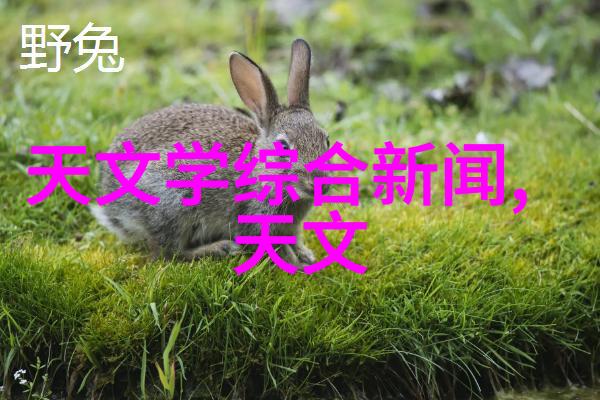 丝网波纹填料型号规格与应用场景对照表