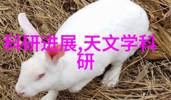 2022装修报价明细表之谜揭开每一笔数字背后的故事
