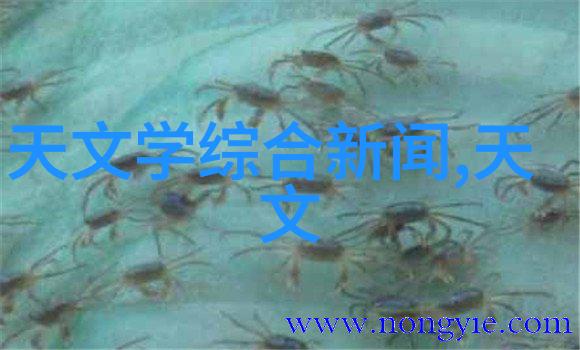 宁波城市职业技术学院深耕工匠精神的现代教育殿堂