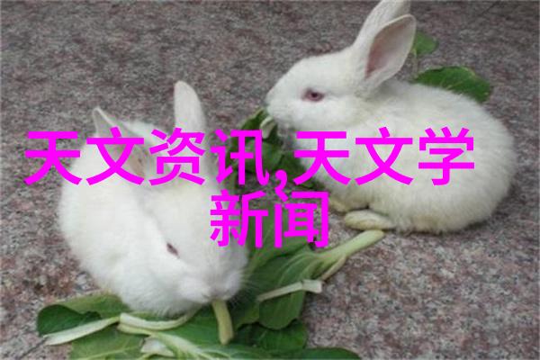 防水不再难安徽水利水电职业技术学院带你解密卫生间防水技巧