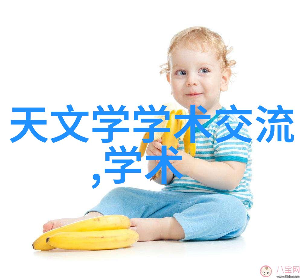 节能减排的实践者住宅建筑规范中能源效率的提升