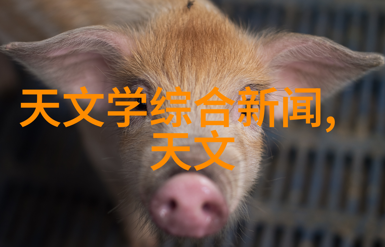 装修指南揭秘房子美化必知知识