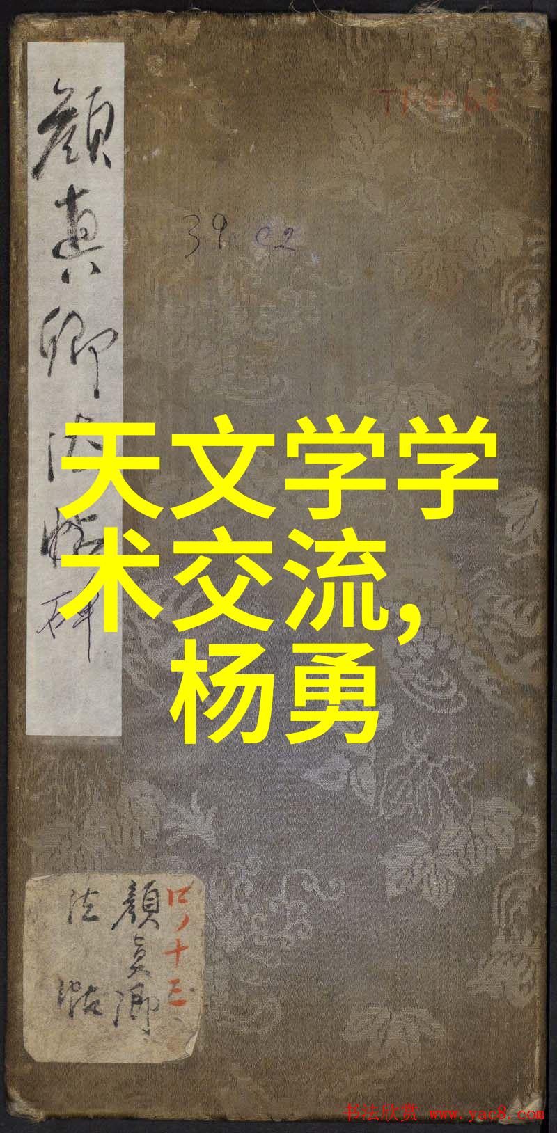 财经分析-深入解读陈译辉财经观点新经济时代的投资策略与风险管理