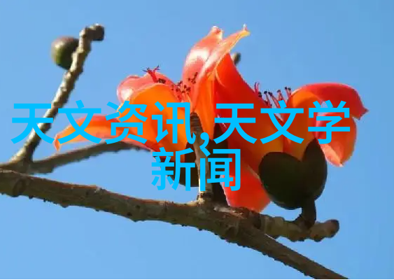 不锈钢制造中的关键材料选择与性能优化研究