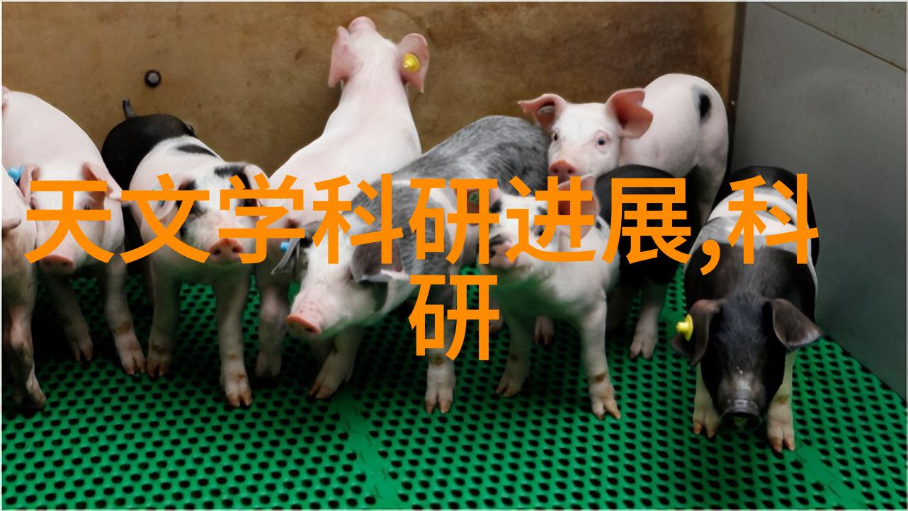 揭秘毛坯房装修先后顺序从荒废到奢华的十字诀
