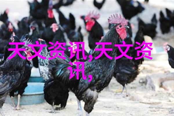 化学反应的伙伴化工设备论文中的创新探索
