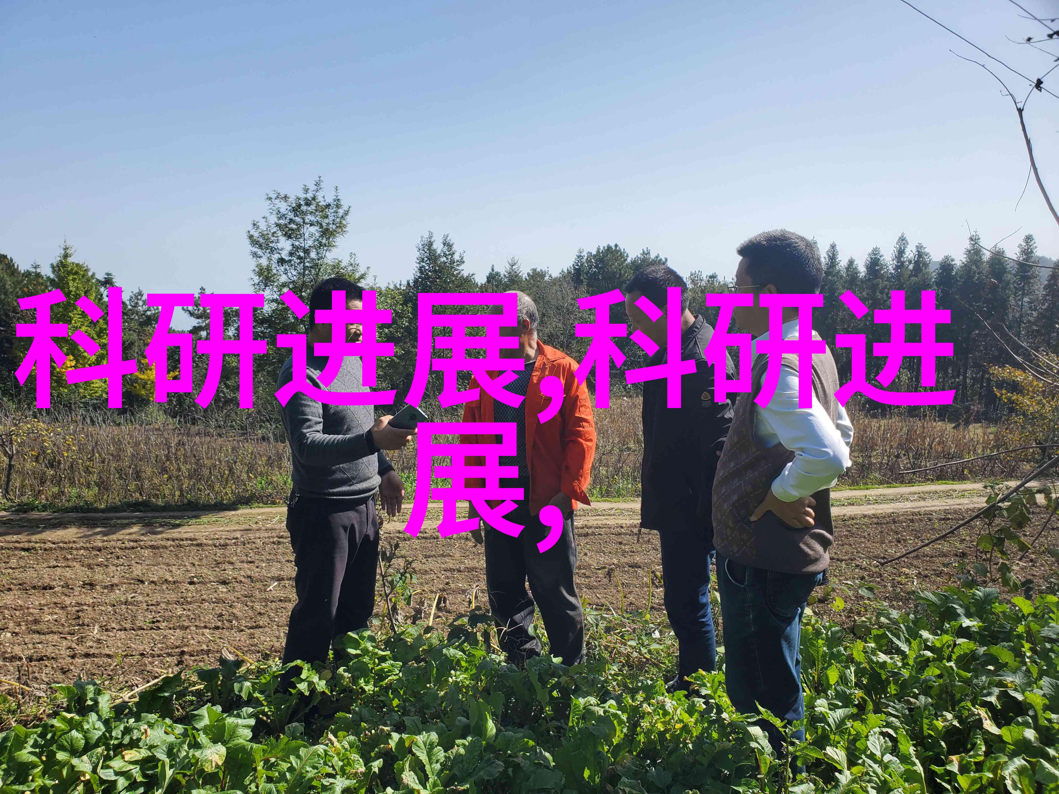 封箱胶带机在现代物流中的应用与创新发展研究