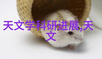 沉默的香气松香水之谜