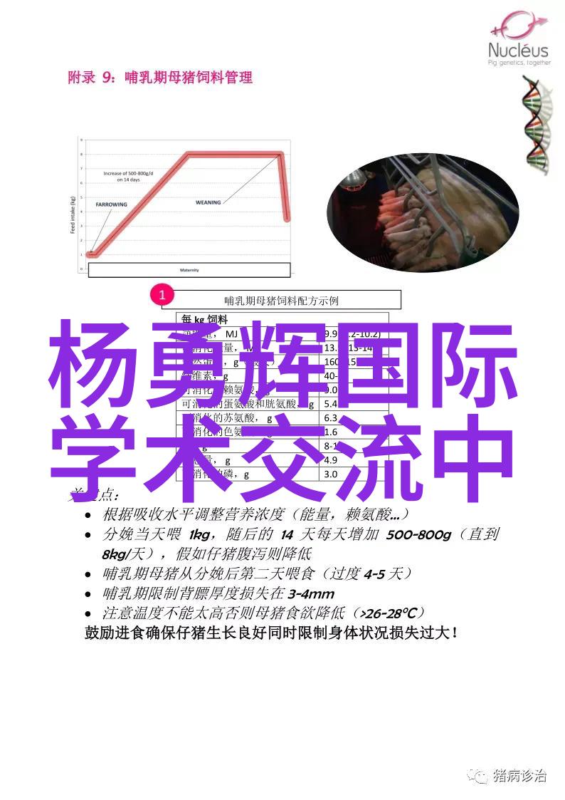 反光板我是如何在夜晚拍到一张超级亮丽的车头照的